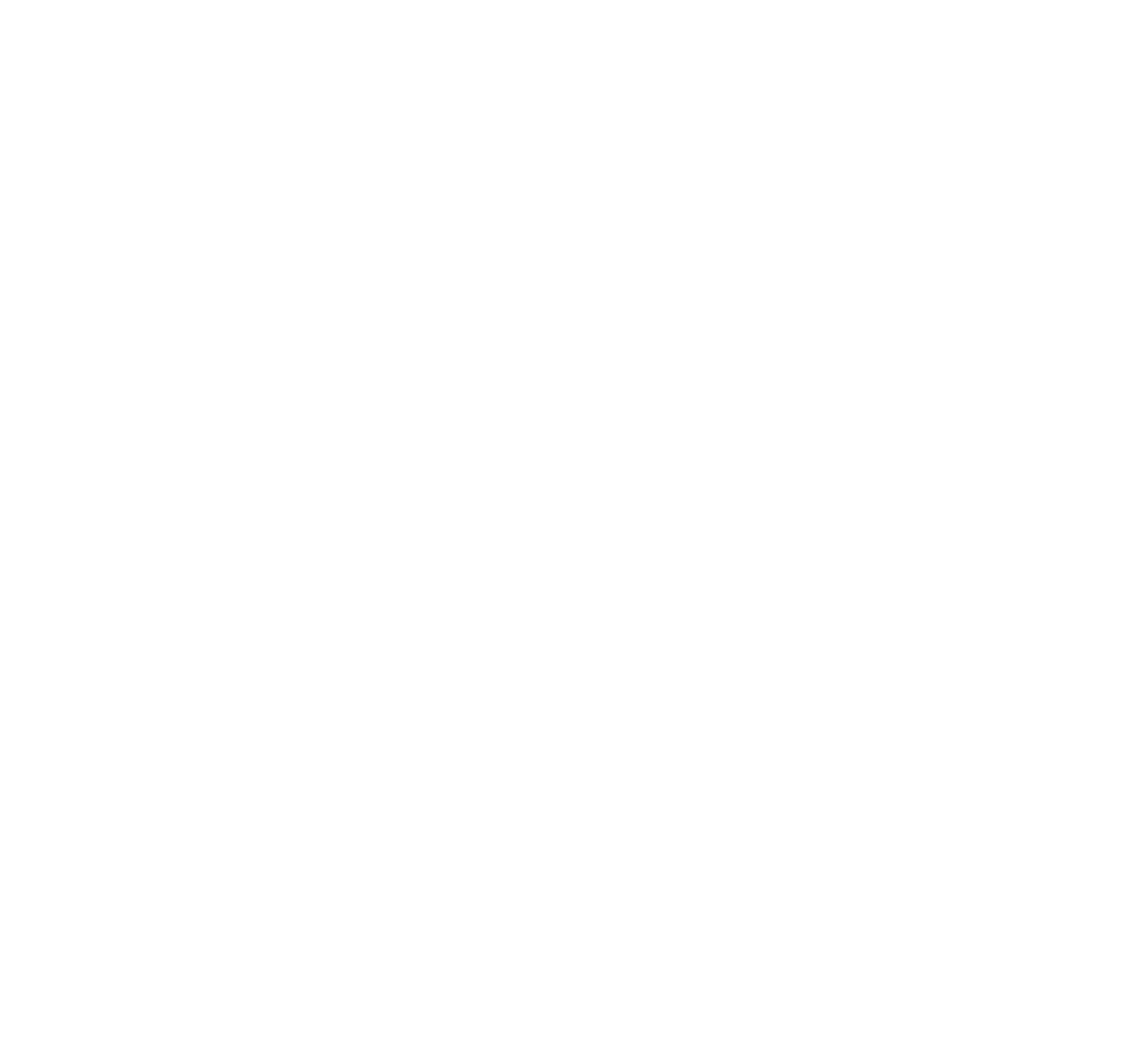 scouts_logo_marque_white